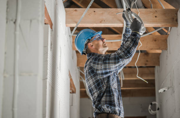 Best Electrical Repair Services  in Carroll, IA
