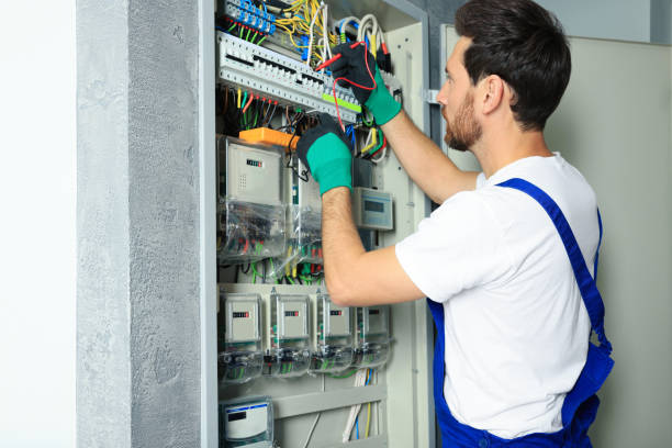 Best Electrician for Home Renovation  in Carroll, IA