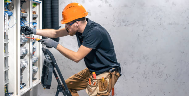 Best Electric Panel Repair  in Carroll, IA